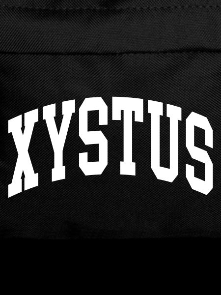 Xyste