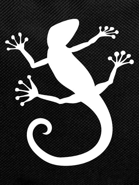 Power animal lizard