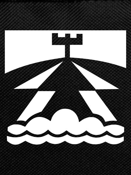 Aerial surveillance