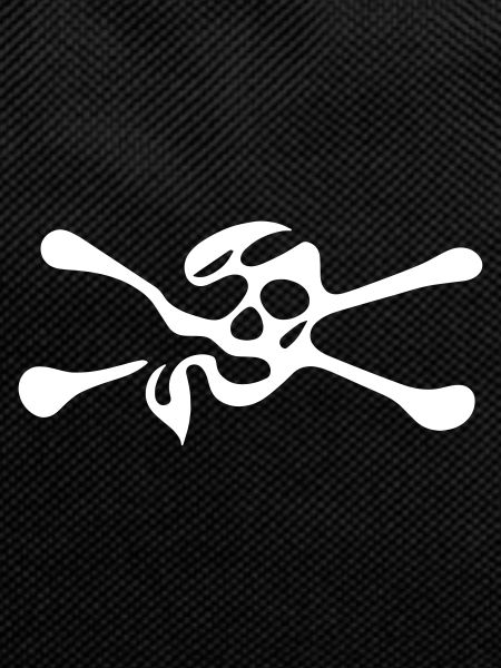 Skull with bones