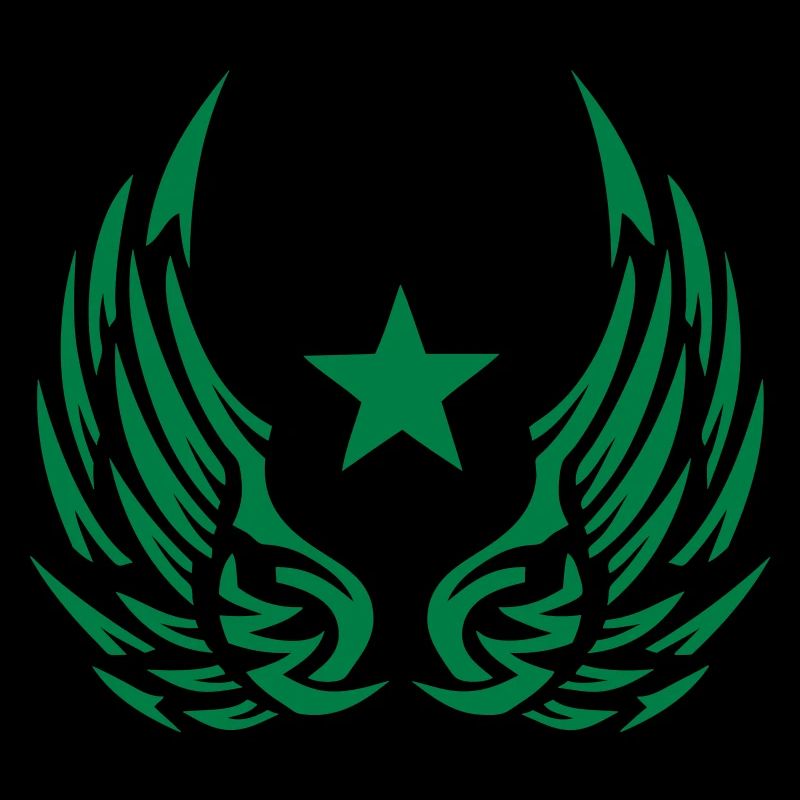 Star wing logo 28052