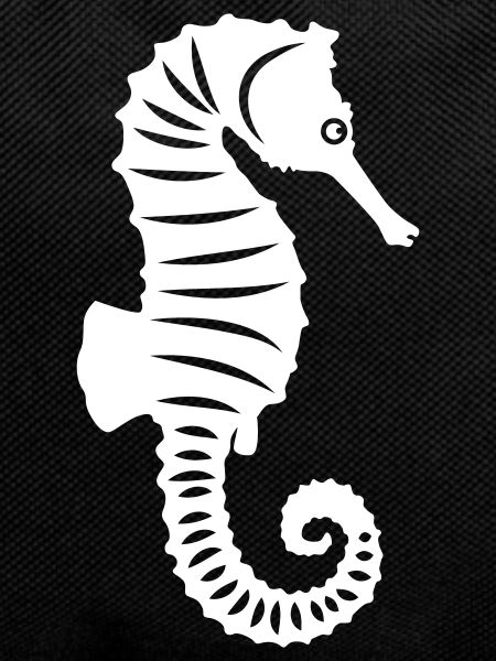 Seahorse animal