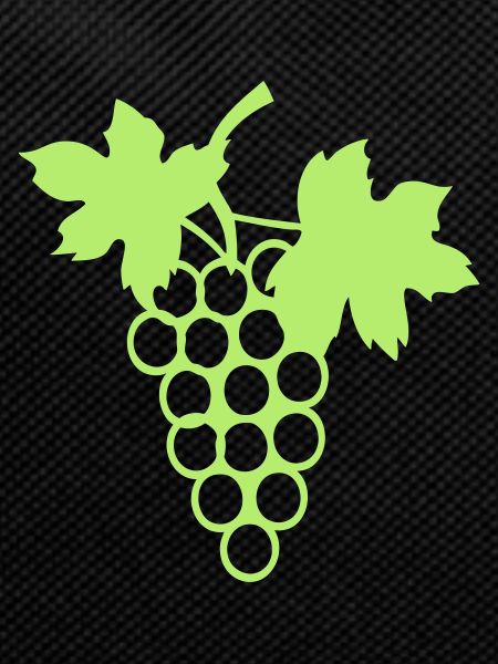 bunch grape vine leaf 27