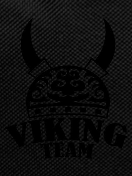 équipe viking 1