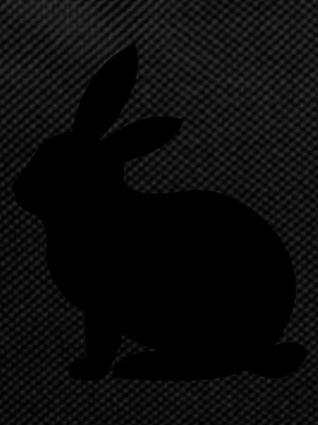 lapin