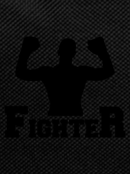 fighter