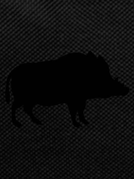 wild boar