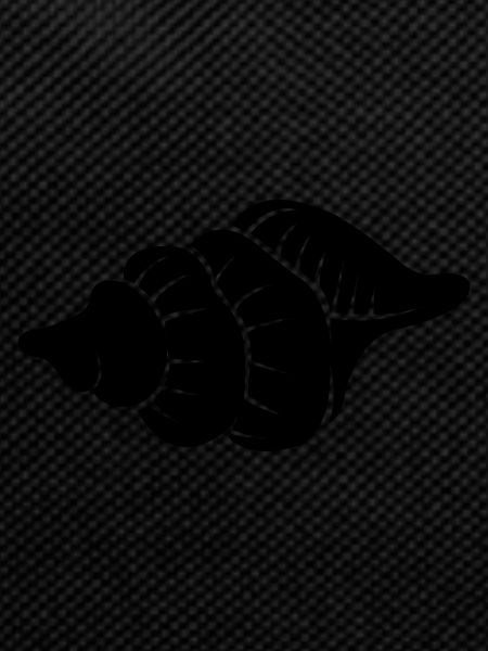 shell