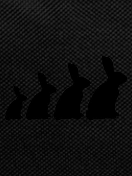 rabbit family