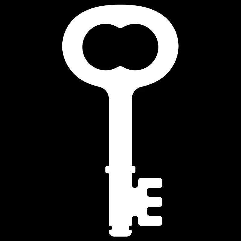 Old antique key icon symbol. Gothic medieval key