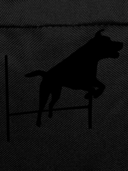 Agility