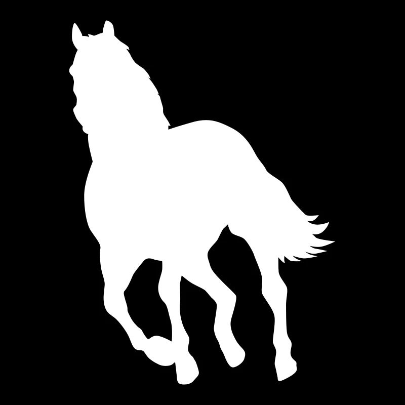 Pferd Pony Wildpferd