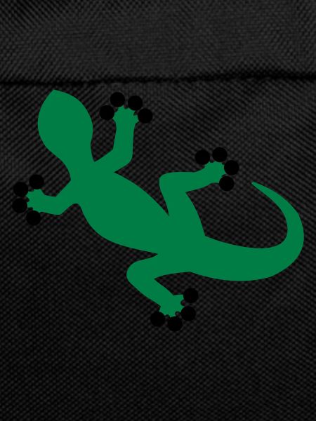 Gecko / Lizard