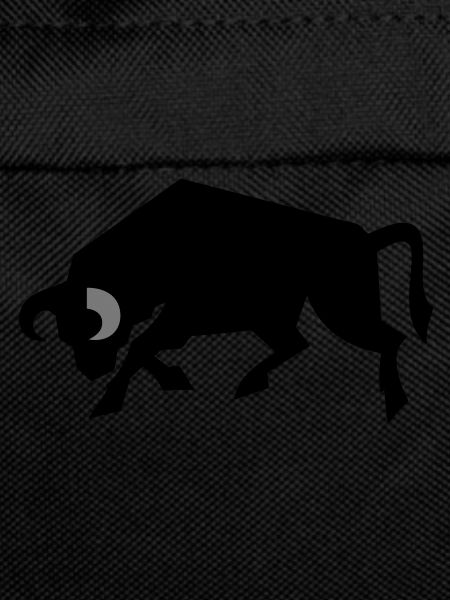 bull_2