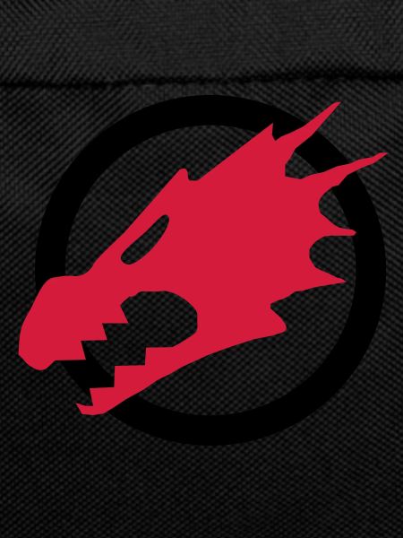 Dragons de Feu