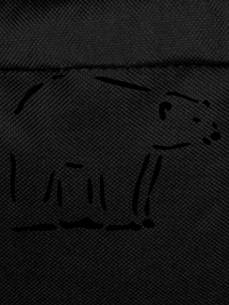 Eisbär