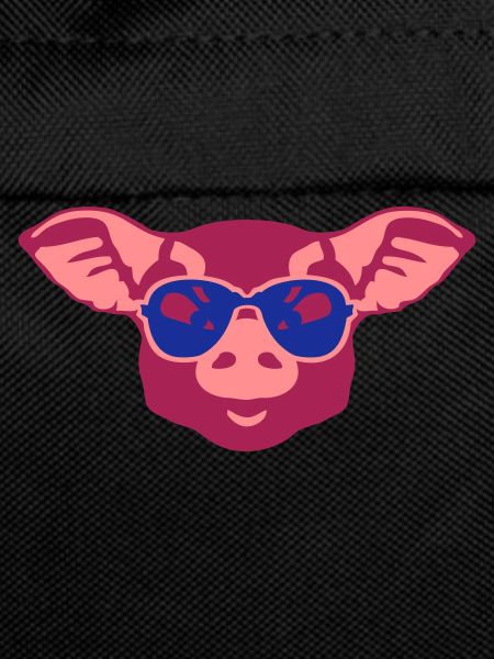 pig sunglasses animal