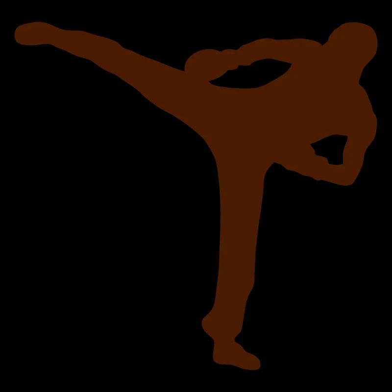 French savate boxing