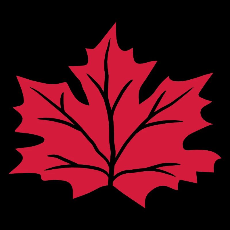 feuille d'érable rouge automne hiver rouge coloré couleurs bla