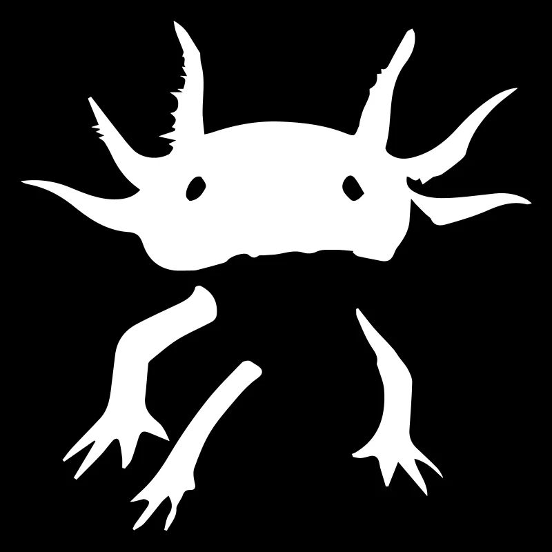 Axolotl