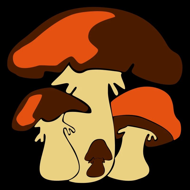 Vier Pilze