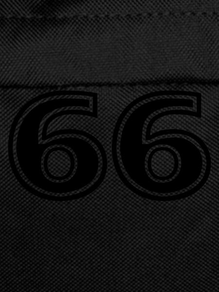 66