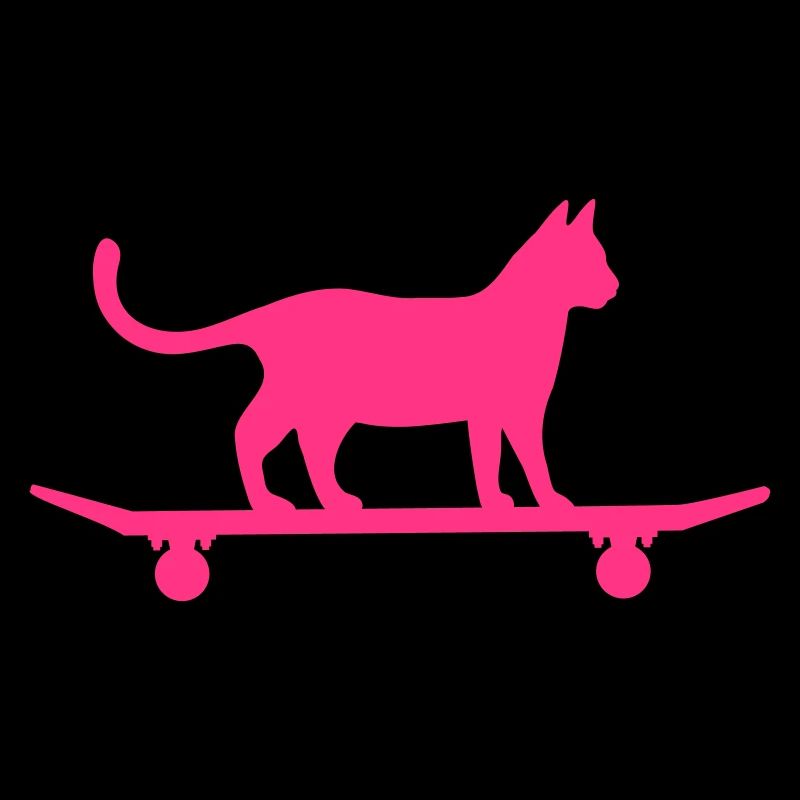 Cat on skateboard