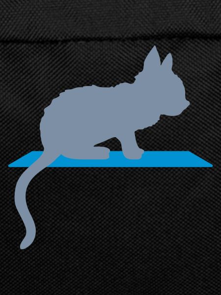 Shelf silhouette cute kitten
