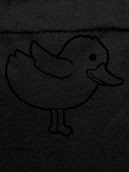 Dear duck cute chick