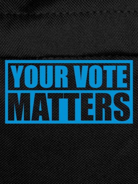 your vote matters quote