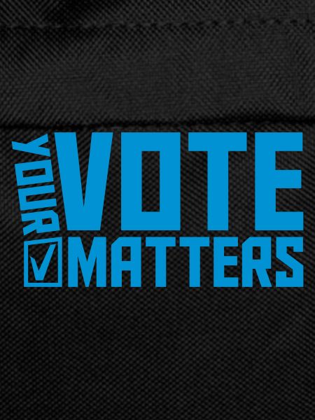 your vote matters quote