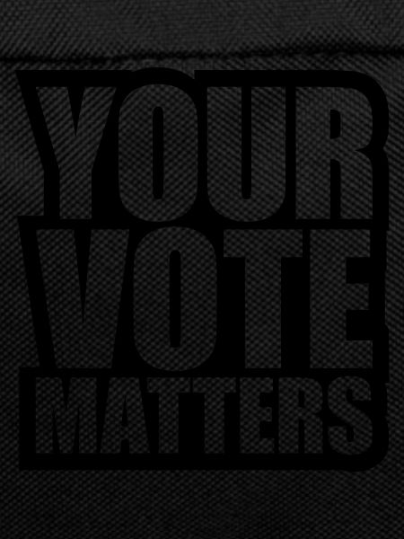 your vote matters quote