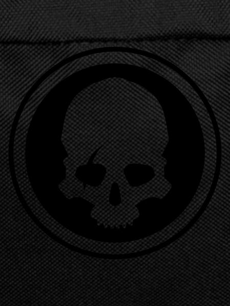 Skeleton skull