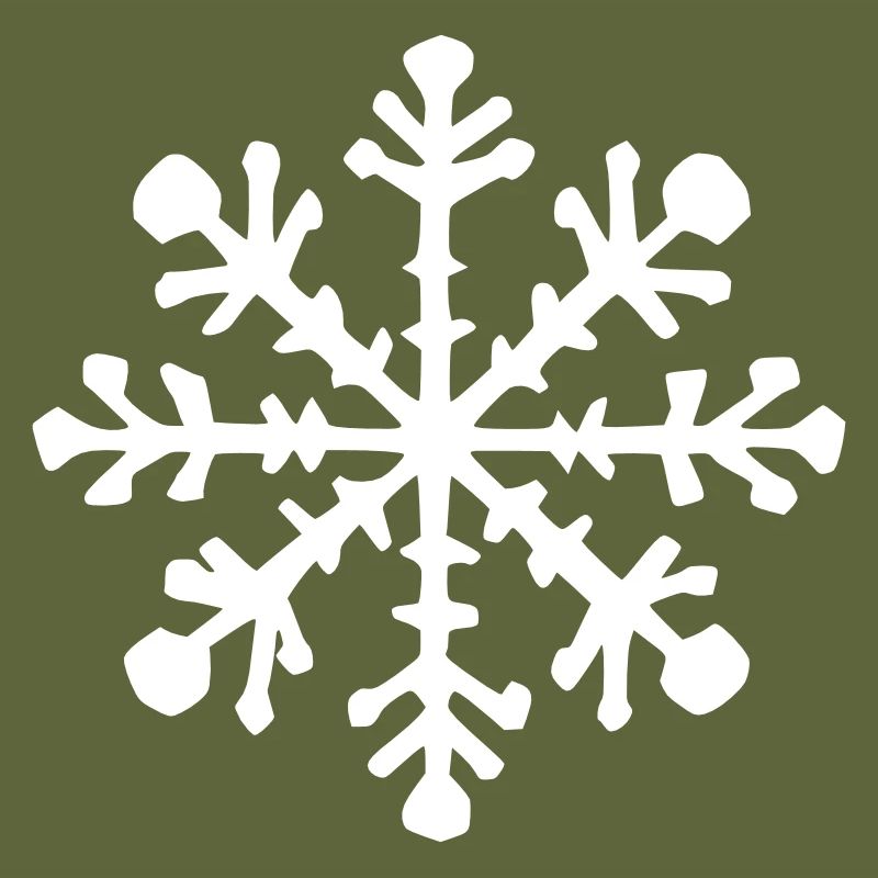Snowflake Snow Winter Christmas Vector 12