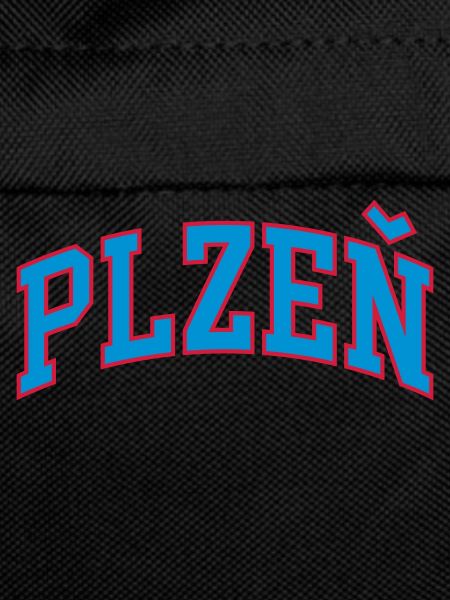 Plzeň Pilsen