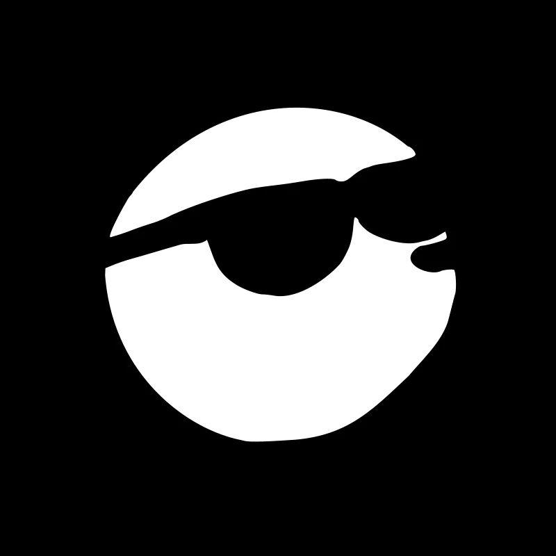 Sunglasses man