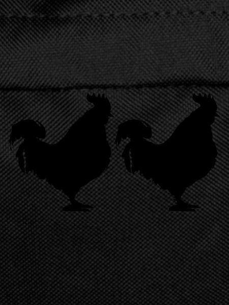 Coq 2