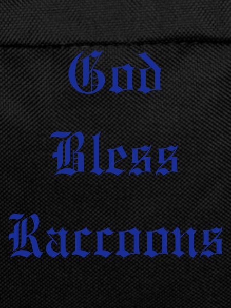 GodBlessRaccoons
