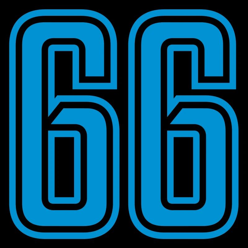 66
