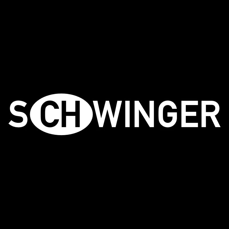 Schwinger Schweiz
