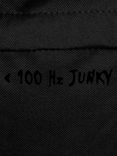 rzhw_100hz-junky