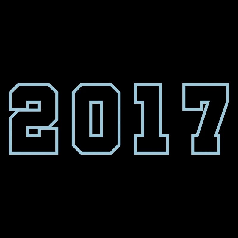 2017 Year Birthday