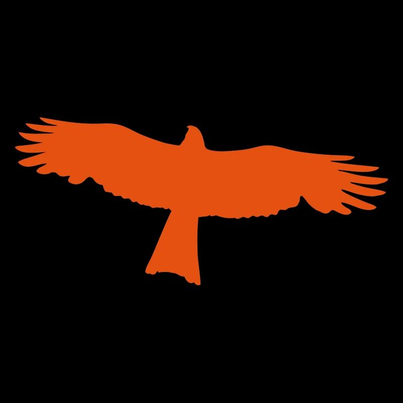 Falke - Raubvogel