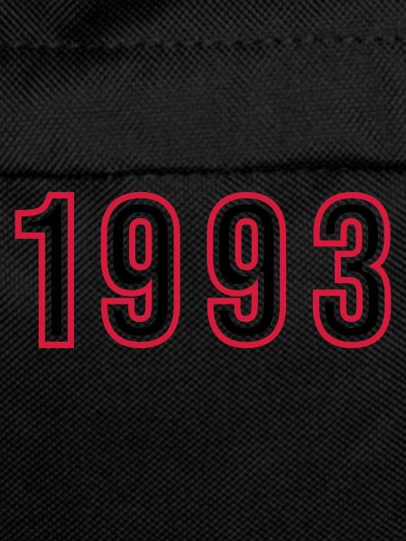 1993 Year Number