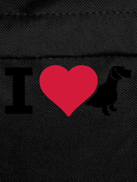 IL Dachshund wire-haired dachshund
