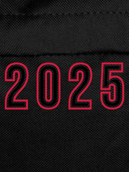 2025 Year Number