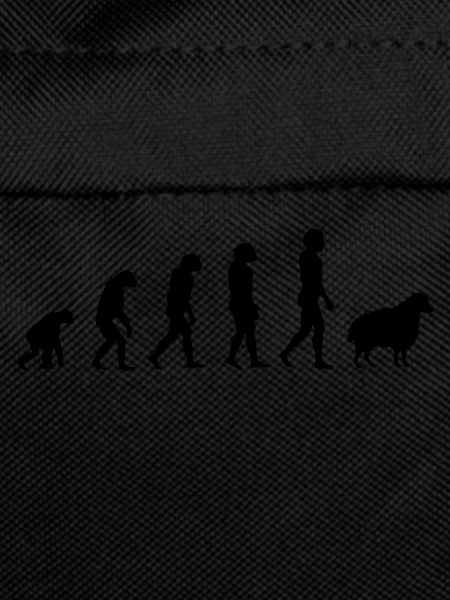 Darwin Sheep