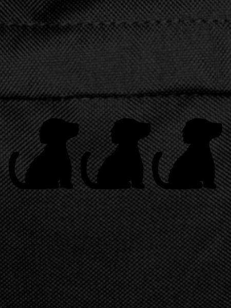 3 well-behaved sitting dogs