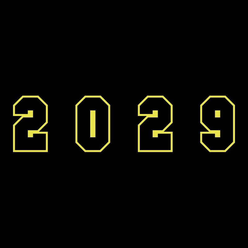 2029 Year Number