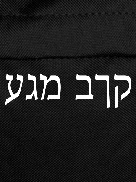 Krav Maga